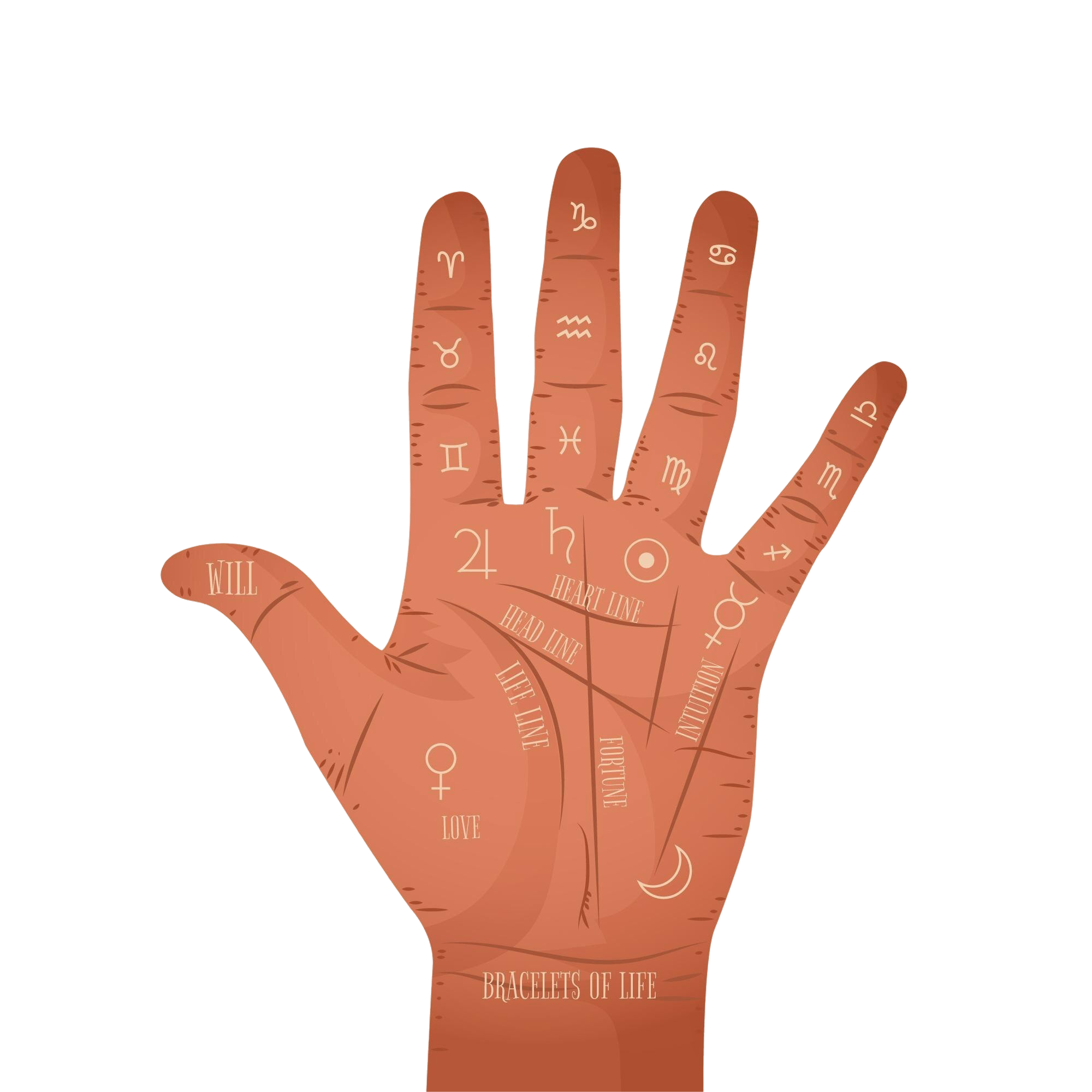 Palm Reading